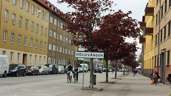 Der Stadtteil Möllevången in Malmö. © NDR Foto: Marie Marzahn
