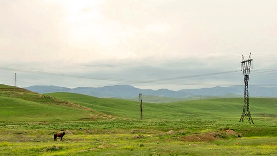 Karge Landschaft hinter der Grenze. © NDR 