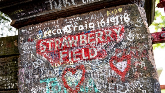 Die Worte "Strawberry Fields" auf eine Mauer geschrieben. © NDR Foto: Claudia Timmann