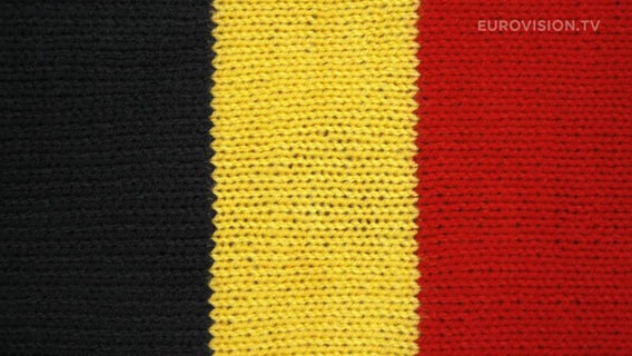 Flagge von Belgien. © DR Foto: Treshow