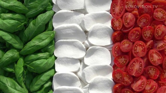 Flagge von Italien. © DR Foto: Treshow