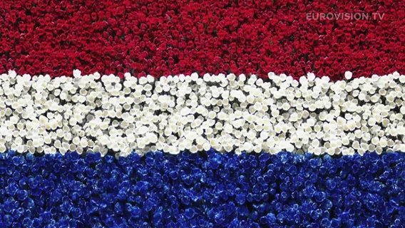Flagge der Niederlande. © DR Foto: Treshow