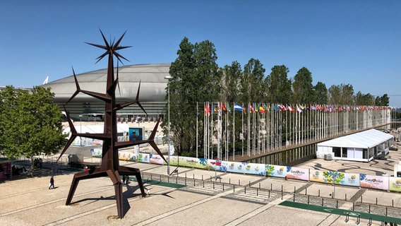 Blick auf die Altice Arena in Lissabon. © NDR / Rolf Klatt Foto: Rolf Klatt