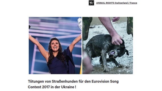 Jamala, die ukrainische ESC-Siegerin von 2016, und ein gefangender Hund (Collage auf einer Petition bei change.org)  