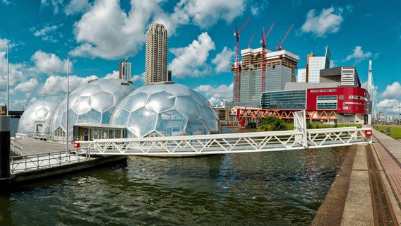 Der schwimmende Pavillon in Rotterdam.  Foto: Rene van der Meer