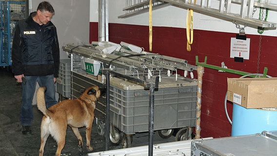 Ein Spürhund untersucht die Halle nach Sprengstoff. © ORF / Songcontest.orf.at 