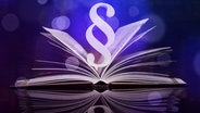 Paragrafenzeichen erhebt sich über ein aufgeschlagenem Buch. © Fotolia.com Foto: Sebastian Duda