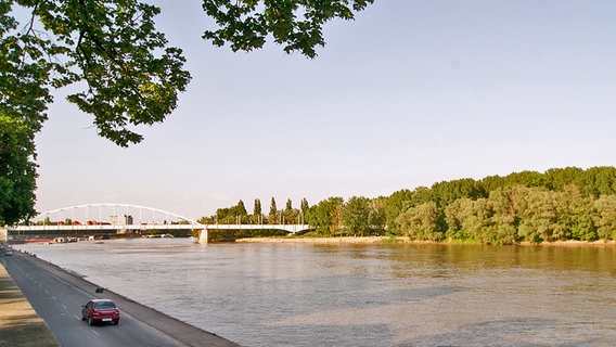 Der Fluss Theiß bei Szegedin  
