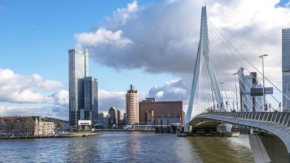 Die Erasmusbrücke in Rotterdam © picture alliance Foto: Peter Schickert