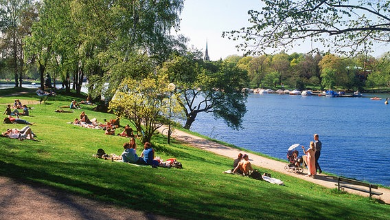 Picknick im Stockholmer Naturpark  Foto: Chad Ehlers