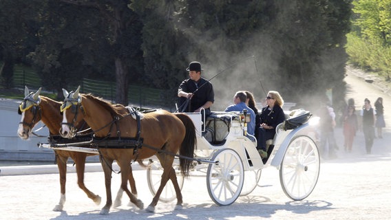 Touristen werden in einer Pferdekutsche durch den Schloßark Schönbrunn gefahren. © picture alliance /blickwinkel / Samot 