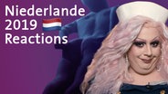 Eine Drag Queen neben dem Schriftzug "Niederlande 2019 Reactions". © ndr 